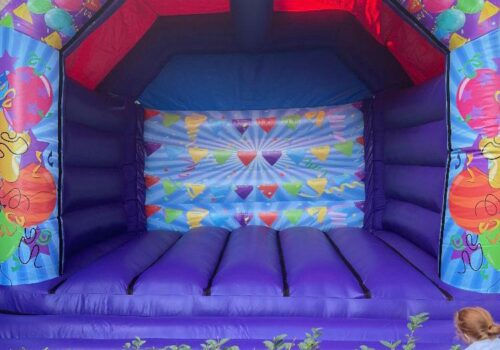 adult castle with purple base and bunting graphic