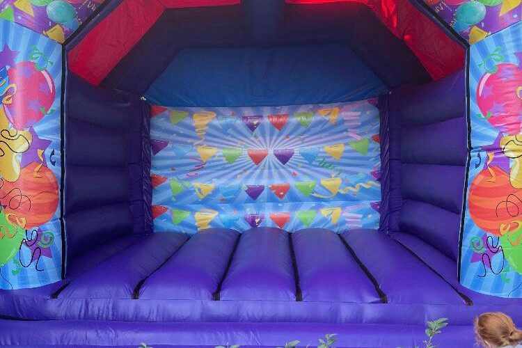 adult castle with purple base and bunting graphic