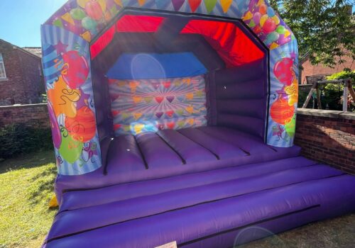 adult castle with purple base and bunting graphic2
